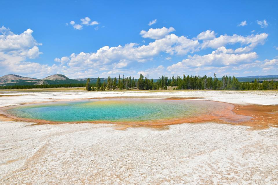 Yellowstone National Park_莊宜靜 (3)到了現場才知道明信片上的美景都是真實的!-8